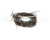 55049-72 Apw Wyott Wire Set Hfw-3 Inf Control 72