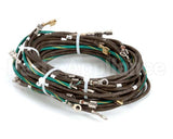 55049 Apw Wyott Wire Set Assembly-3 Well