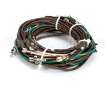 55049 Apw Wyott Wire Set Assembly-3 Well