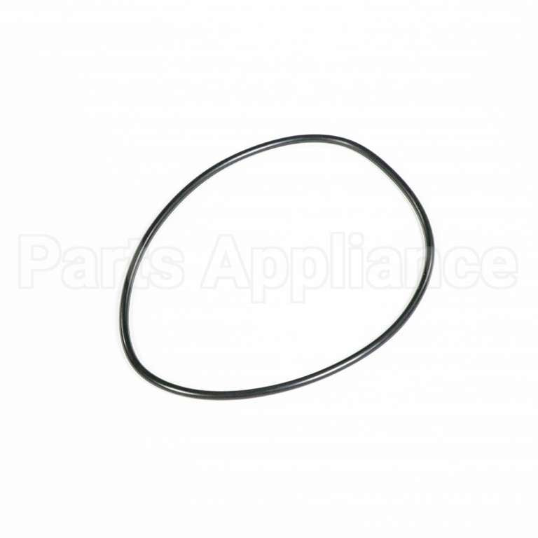 WS03X10054 GE O-Ring