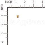 555537 Briggs & Stratton Jet-Main