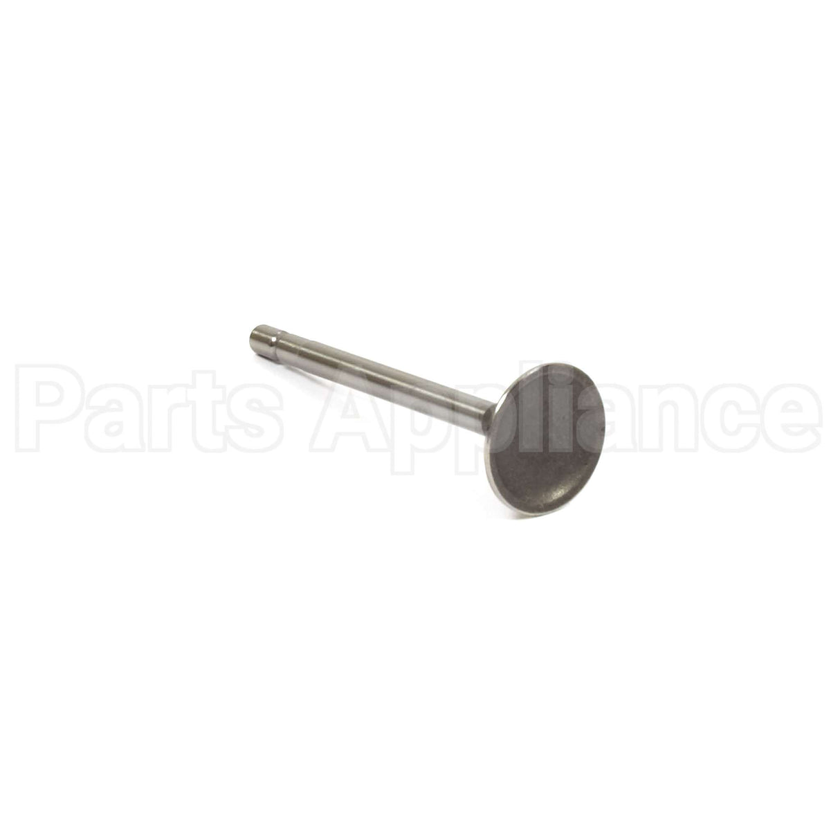 555551 Briggs & Stratton Valve-Intake