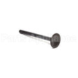 555552 Briggs & Stratton Valve-Exhaust