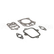 555581 Briggs & Stratton Gasket Set-Valve