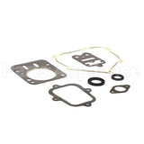 555631 Briggs & Stratton Gasket Set-Engine