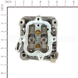 555635 Briggs & Stratton Head-Cylinder