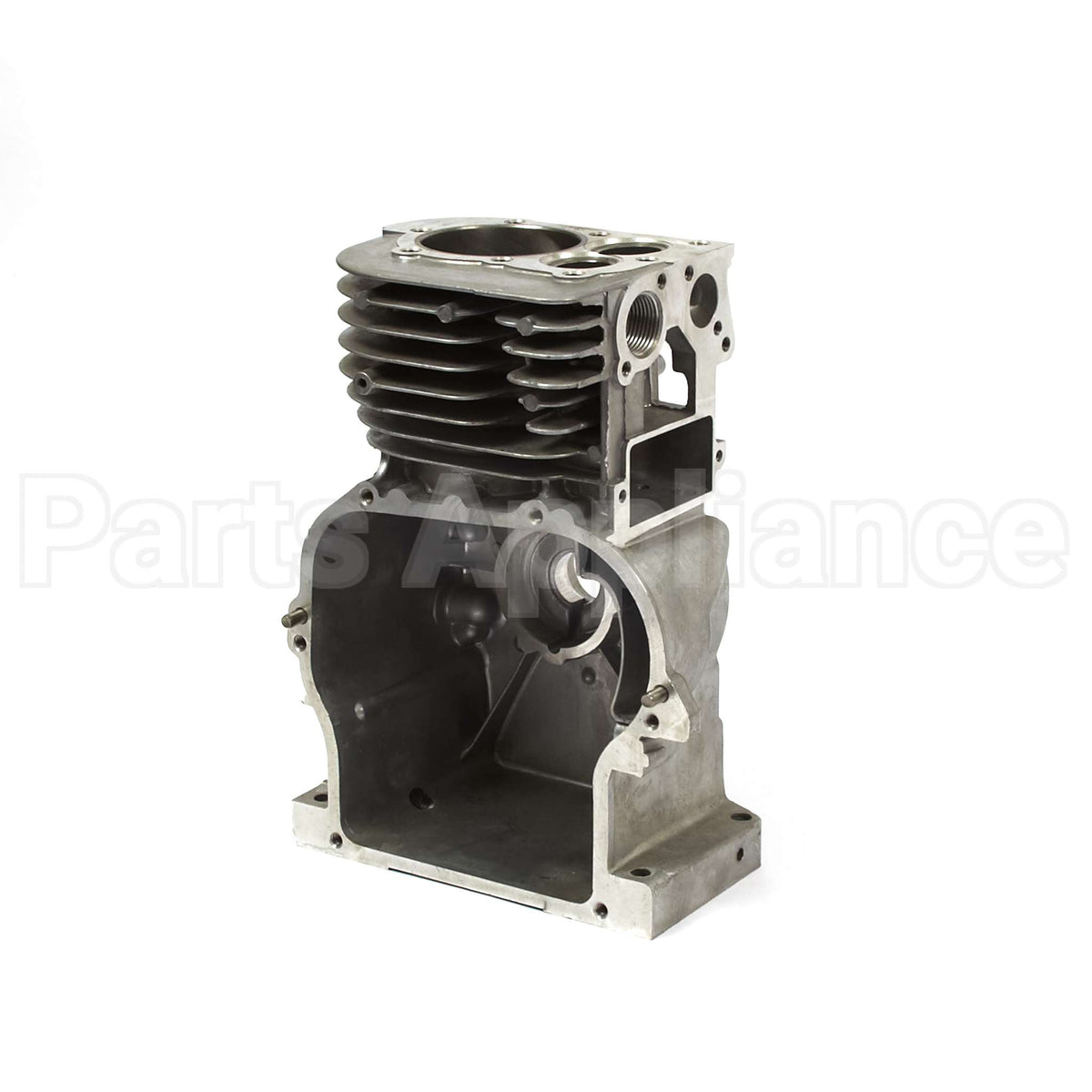 555669 Briggs & Stratton Cylinder Assembly
