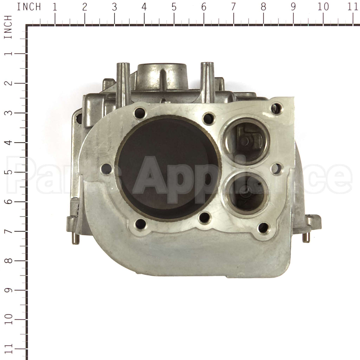 555669 Briggs & Stratton Cylinder Assembly