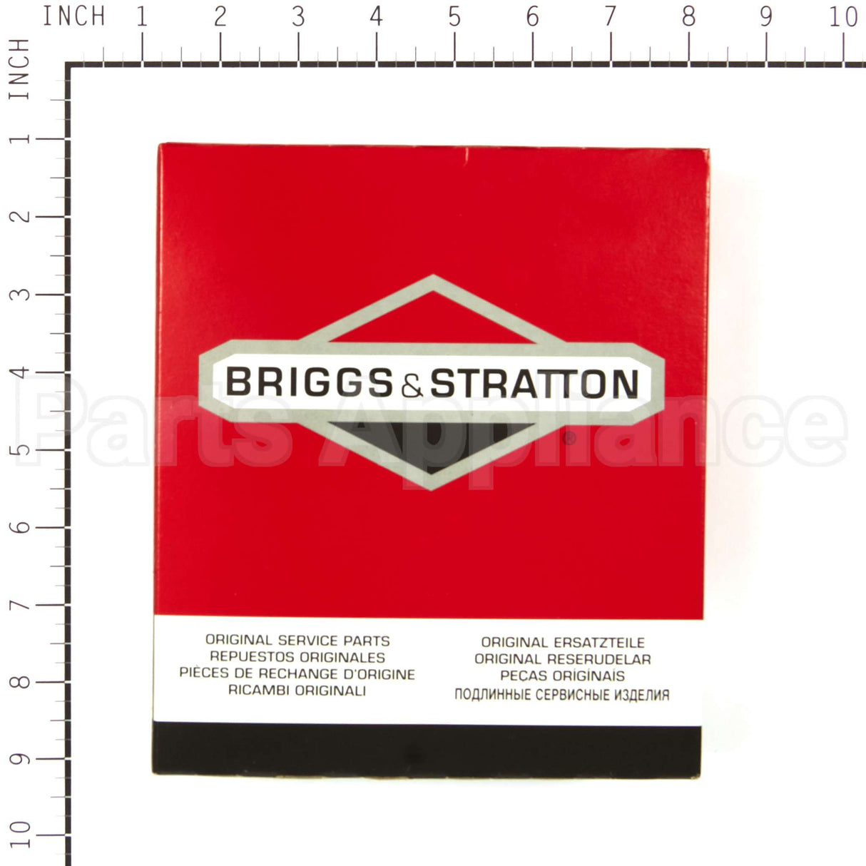 555699 Briggs & Stratton Panel