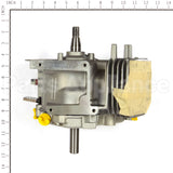 555715A Briggs & Stratton Sb (Motorsports)