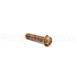 555736 Briggs & Stratton Screw