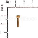 555736 Briggs & Stratton Screw