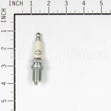 555737 Briggs & Stratton Plug-Spark