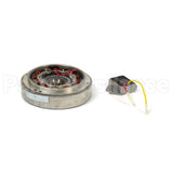 555773 Briggs & Stratton Kit-Flywheel/Stator