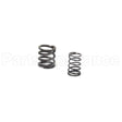 557024 Briggs & Stratton Spring-Valve