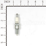 557039 Briggs & Stratton Plug-Spark
