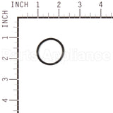 557089 Briggs & Stratton Kit-Carb Overhaul