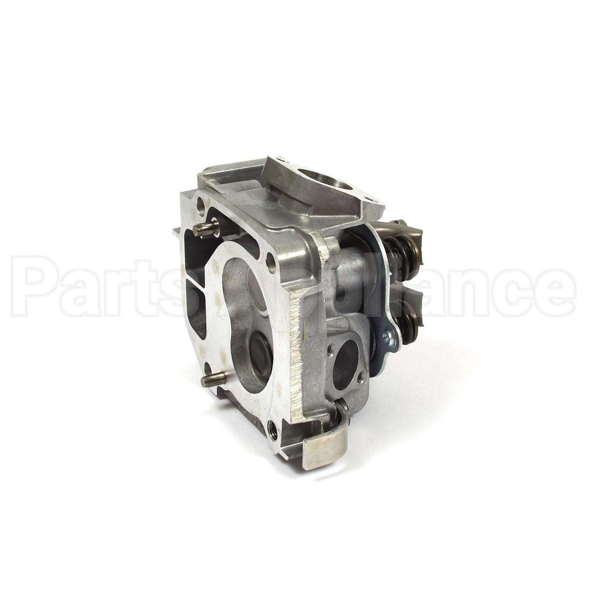 557133 Briggs & Stratton Head-Cylinder