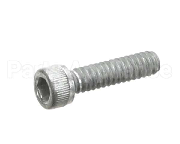 560892 Market Forge Screw Hex Socket Cad Pl10-24X