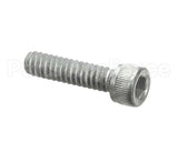 560892 Market Forge Screw Hex Socket Cad Pl10-24X