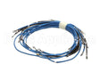 56164 Apw Wyott 4-Wire Set Term W/Term Blk