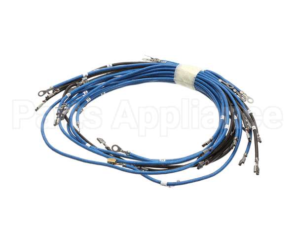 56164 Apw Wyott 4-Wire Set Term W/Term Blk