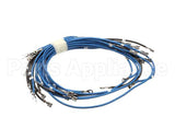 56164 Apw Wyott 4-Wire Set Term W/Term Blk