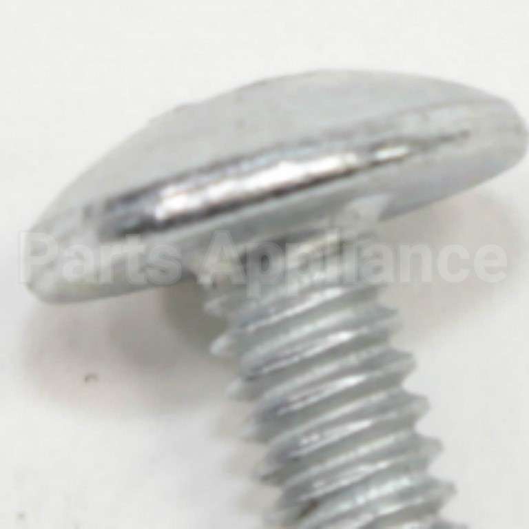 WE2M163 GE Screw 10