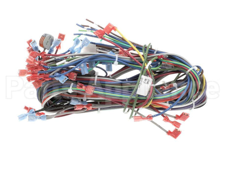57480 Blodgett Harness, Neeo, Rear