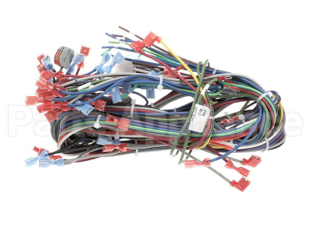57480 Blodgett Harness, Neeo, Rear