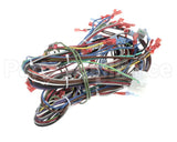 57480.0000 Blodgett Harness Neeo Rear