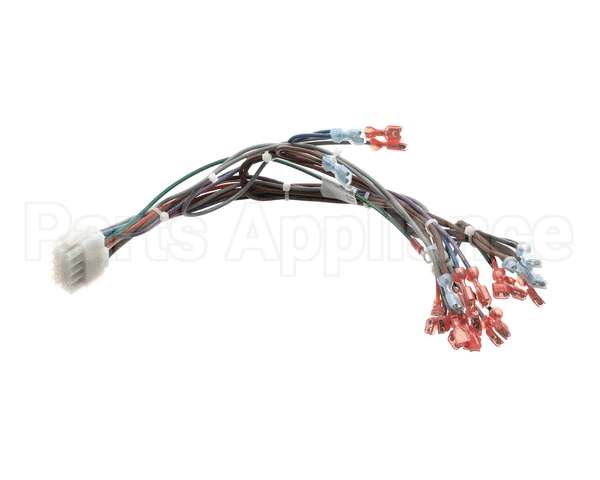 57481 Blodgett Harness,Frt Neeo Man