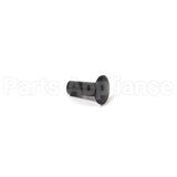 577707MA Briggs & Stratton Rivetovset.250Diax.6