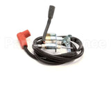 58100 Blodgett Kit,Pilot Assembly W/Wire Ng Ha