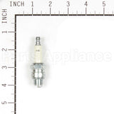 587 Champion H8C Sm Eng Spark Plug