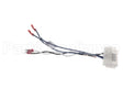 59029 Blodgett Harness, Front Ts Digi
