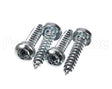 59546 Robot Coupe Screw Assembly 3,9X19 Torx
