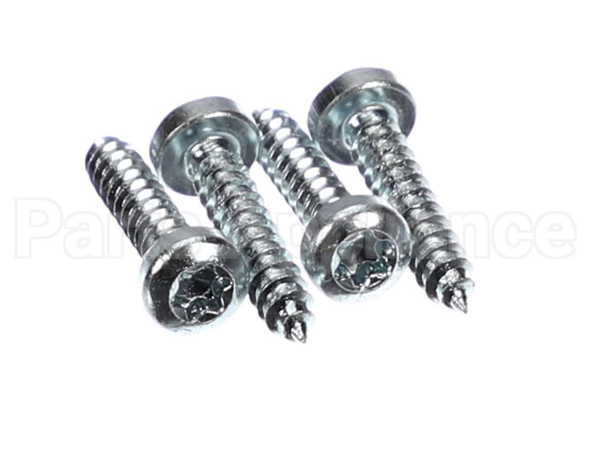 59546 Robot Coupe Screw Assembly 3,9X19 Torx