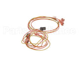 00203-0102 Antunes Wire-Assembly, Ut