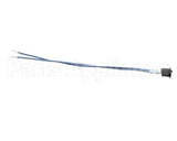 60-12486-0001 Anthony International On/Off Switch