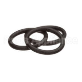 6000-5002 Fisher O-Ring Rotor