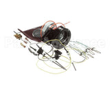 600199 Duke Kit,Gas Brlr Annual Pm-Lp W/O
