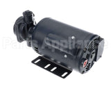 60030056 Frontline Pump & Motor
