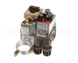 600862 Raypak Gas Valve Nat