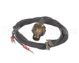 600893B Raypak 140F Co Auto Limit Switch