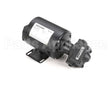 60130802 Pitco Pump,8Gpm Assembly .3Hp 240V 50Hz