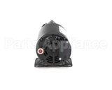 60130802 Pitco Pump,8Gpm Assembly .3Hp 240V 50Hz