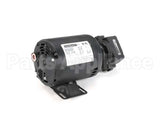 60130802 Pitco Pump,8Gpm Assembly .3Hp 240V 50Hz