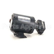 60130810 Compatible Pitco Pmp, 5Gpm 1/3Hp 104/208V 50/60