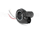 60172-002 Wayne Combustion Mtr/Blowerassy (P265F&P250Af)